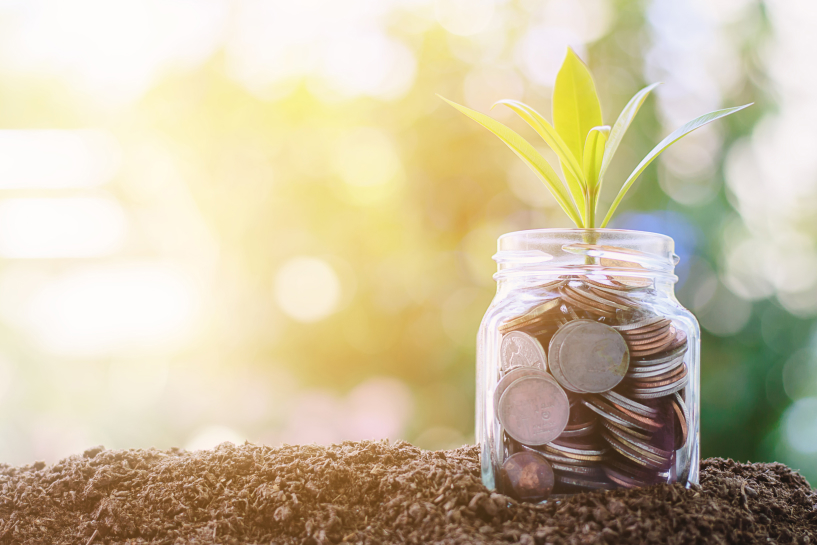 Una planta pequeña crece desde un frasco de monedas.