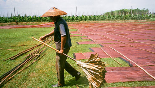  A worker laying out yards of Ziran silk in Guangdong, China 