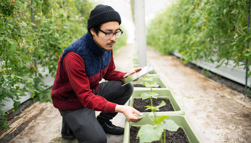 Farmer conducting research using a digital tablet in a greenhouse