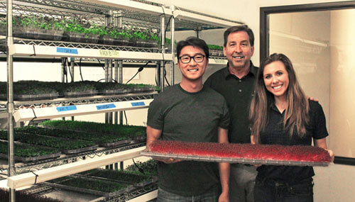 Ed Horton, CEO of Urban Produce, with his daughter Danielle Horton, director of marketing, and Ed Kim, product developer
