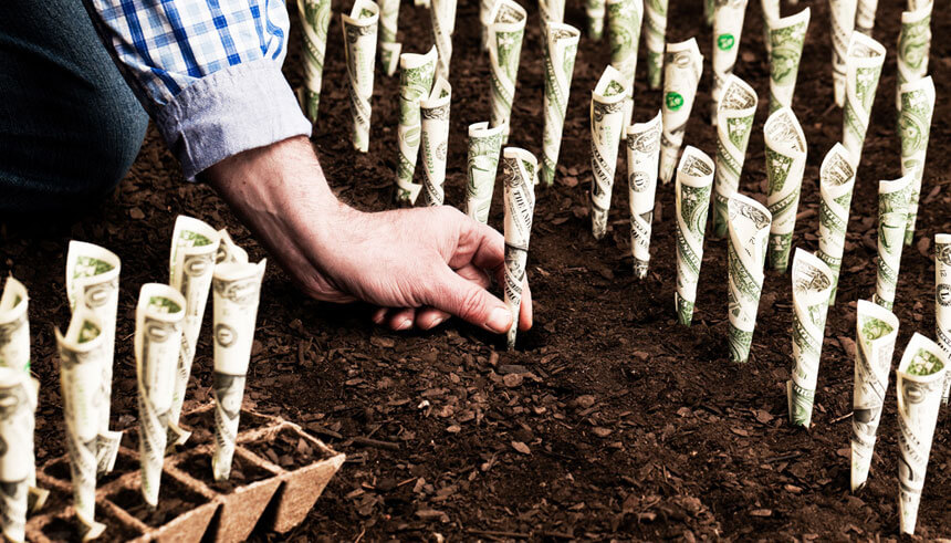 Farmer planting money